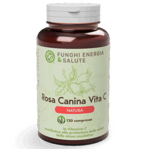 Vitamina C – Funghi Energia e Salute
